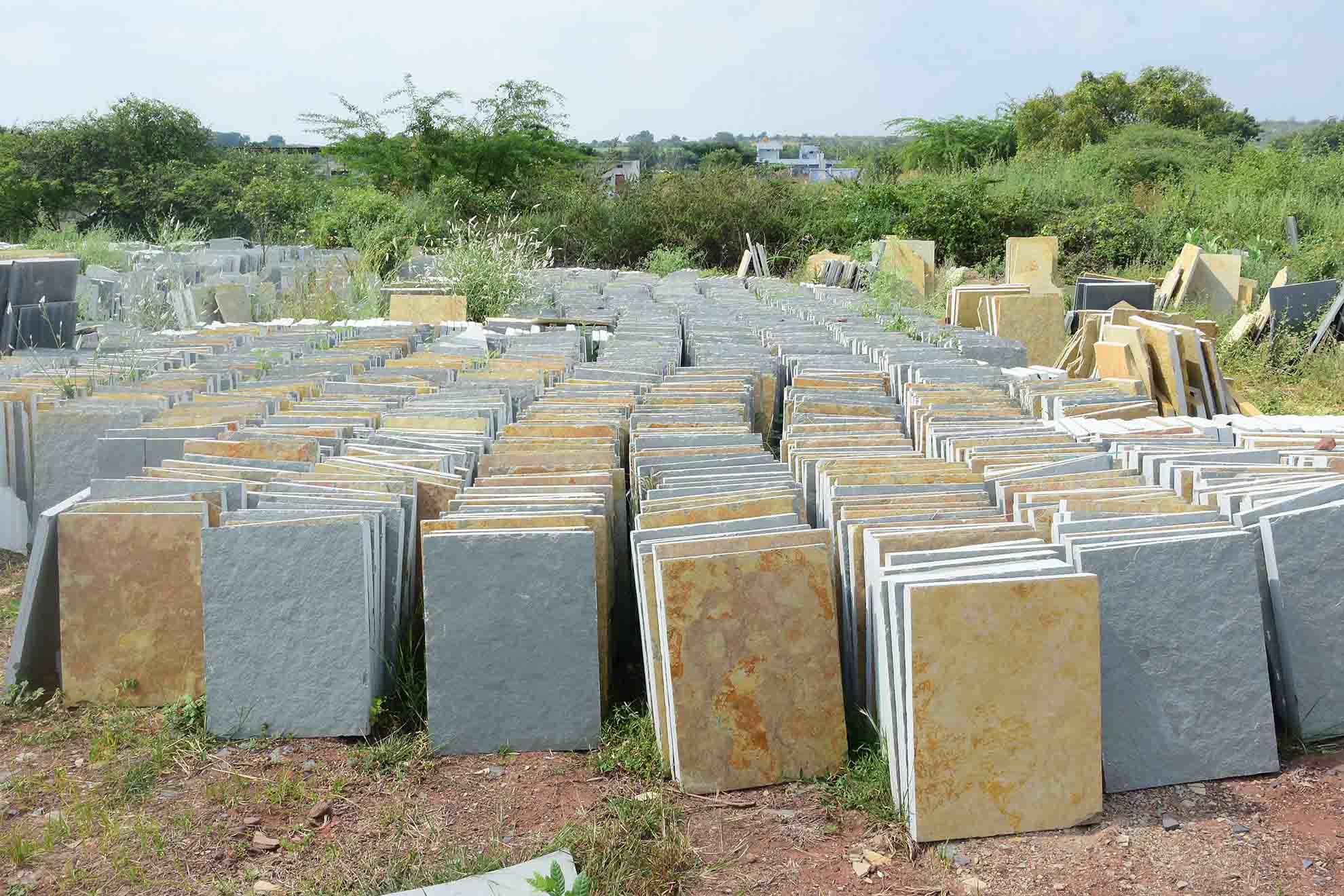 collection of bethamcherla limestone